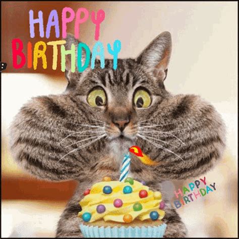 happy birthday funny gif|happy birthday wishes gifs.